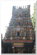 Selvi amma temple alappuzha1