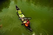 Boat with vegetables