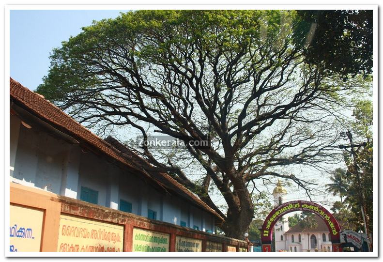 Changanassery church photo 2