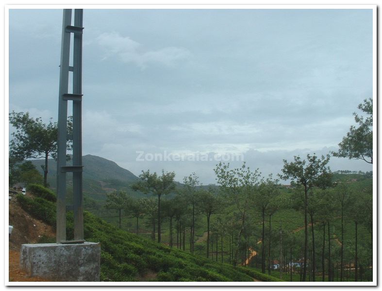 Elappara hill view 1