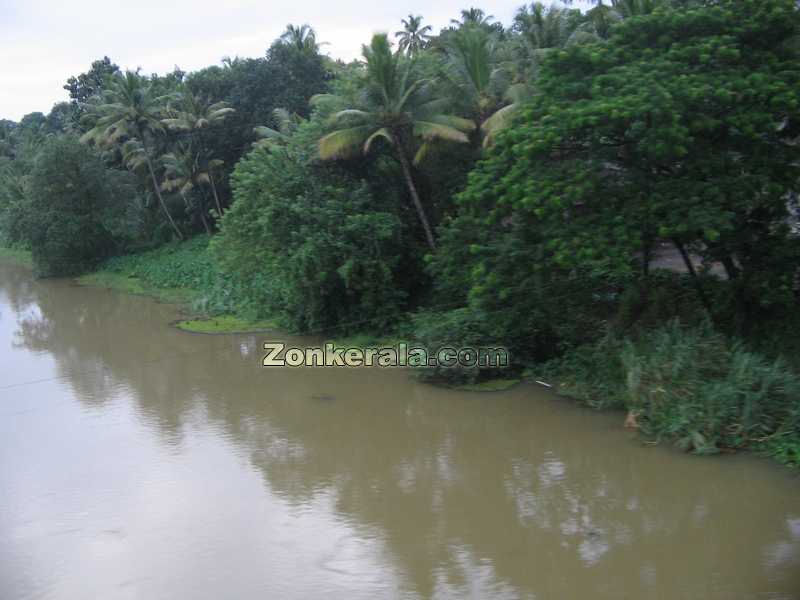 Aluva puzha