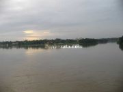 Aluva river