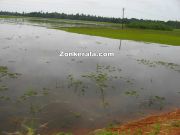 Water in fields