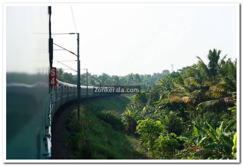 Kerala nature picture 2