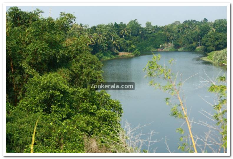 Kerala nature picture 3