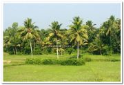 Kerala Scenary