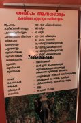 Konni elephant museum elephant brief information 568