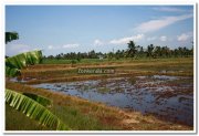 Kottayam ayamkudi photos 3