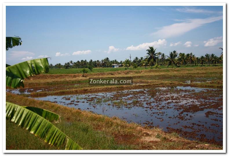 Kottayam ayamkudi photos 3