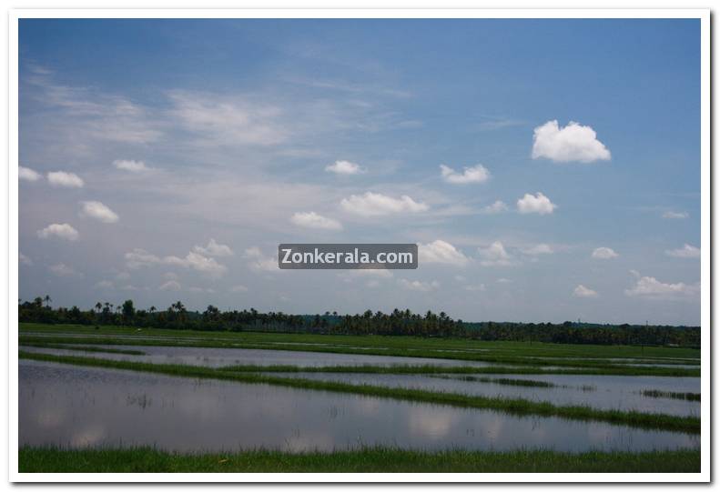 Kottayam ayamkudi photos 7