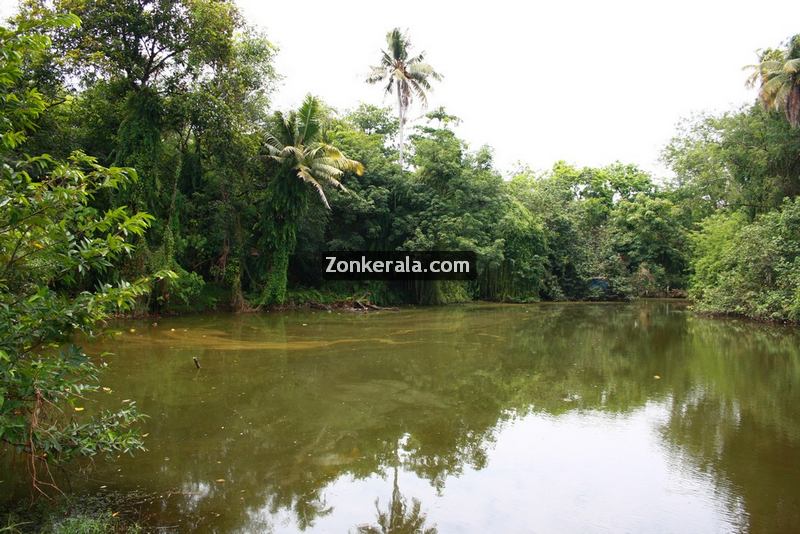 Kumarakom kavanattinkara photos 1