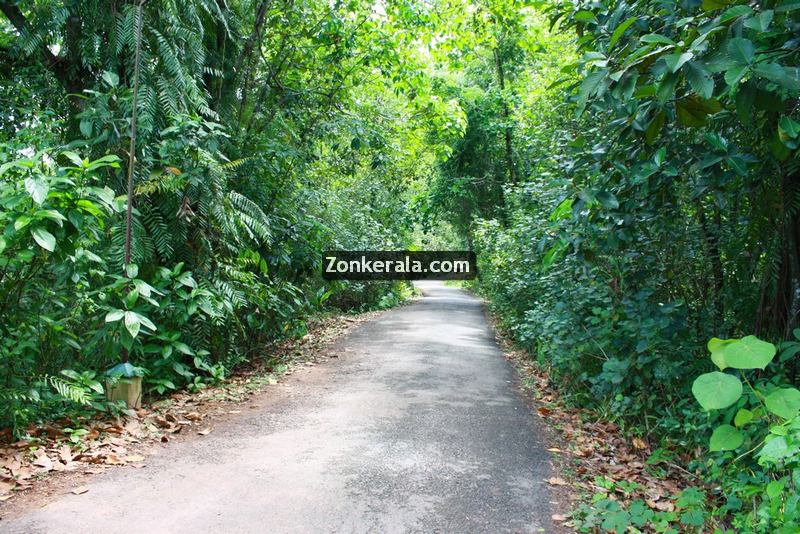 Kumarakom kavanattinkara photos 3