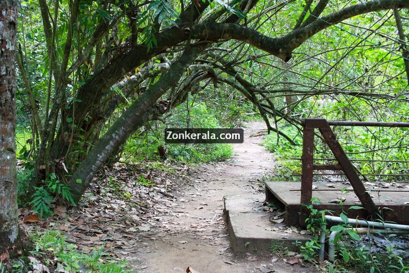 Kumarakom kavanattinkara photos 5