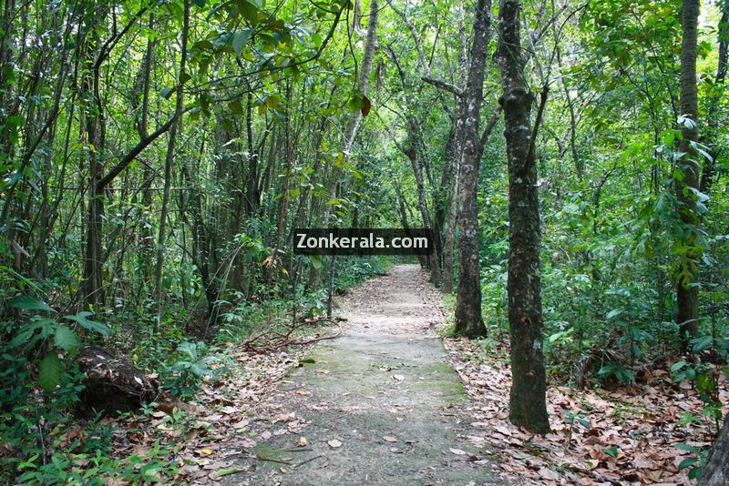 Kumarakom kavanattinkara photos 8