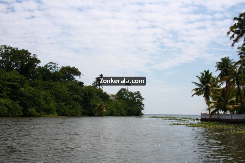 Kumarakom lake photos 10