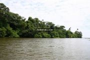 Kumarakom lake photos 11