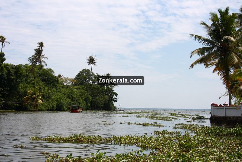 Kumarakom lake photos 13