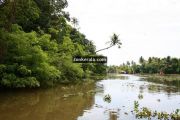 Kumarakom lake photos 2