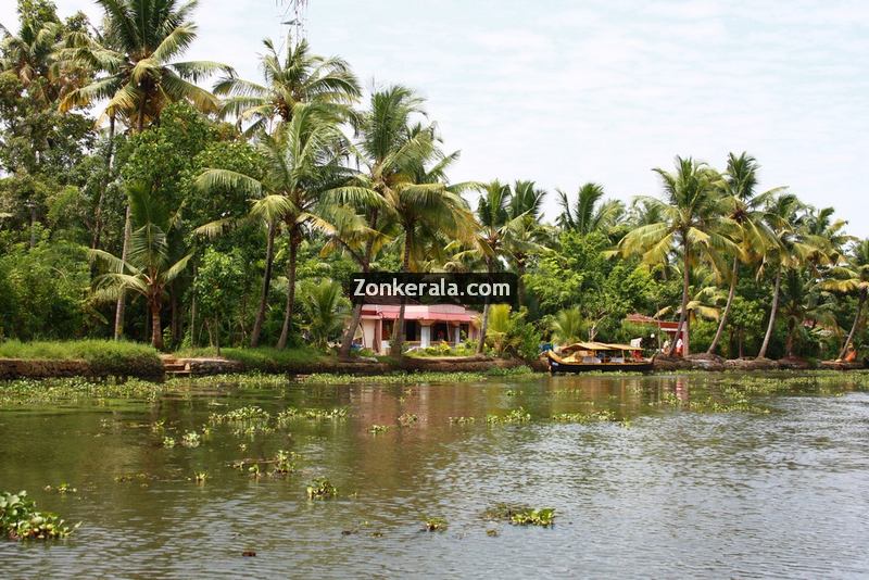 Kumarakom lake photos 7