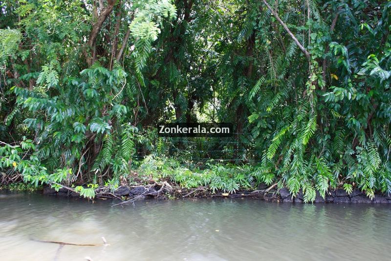 Kumarakom lake photos 8