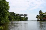 Kumarakom lake photos 9