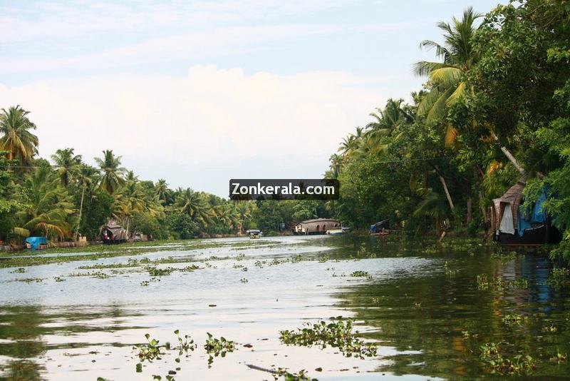 Kumarakom pictures 12