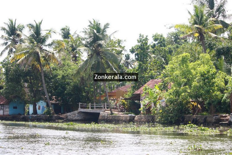 Kumarakom pictures 6