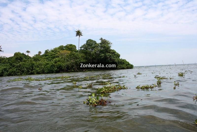 Kumarakom vembanad backwaters 1