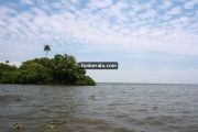 Kumarakom vembanad backwaters 2