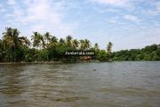 Kumarakom vembanad backwaters 4