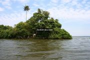 Kumarakom vembanad kayal photo 3