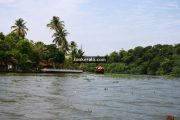 Kumarakom vembanad kayal photo 4