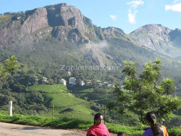 Munnar photo 012