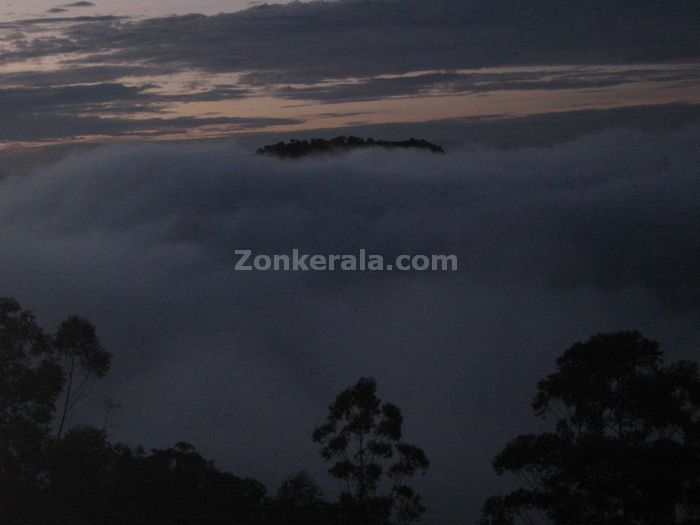 Munnar photo 013