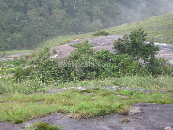 Munnar photo 014