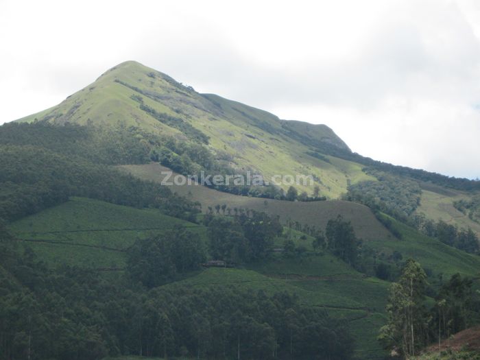 Munnar photo 03