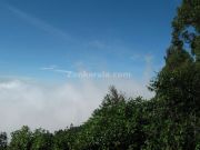 Munnar photo 07