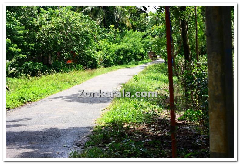 A typical village road in kuttanad