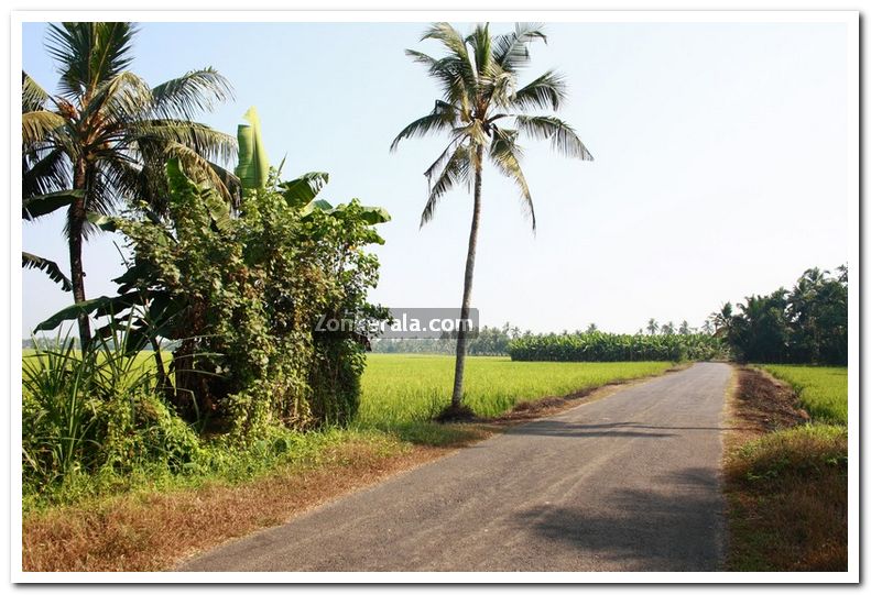 Alappuzha district nature 12