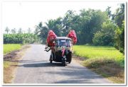 Alappuzha district nature 13