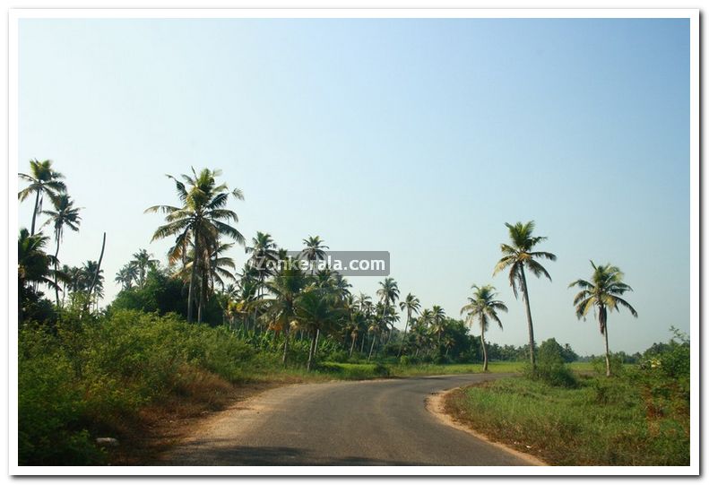 Alappuzha district nature 16