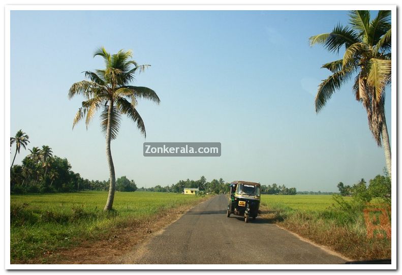 Alappuzha district nature 17