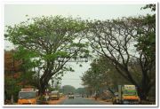 Alappuzha district nature 2