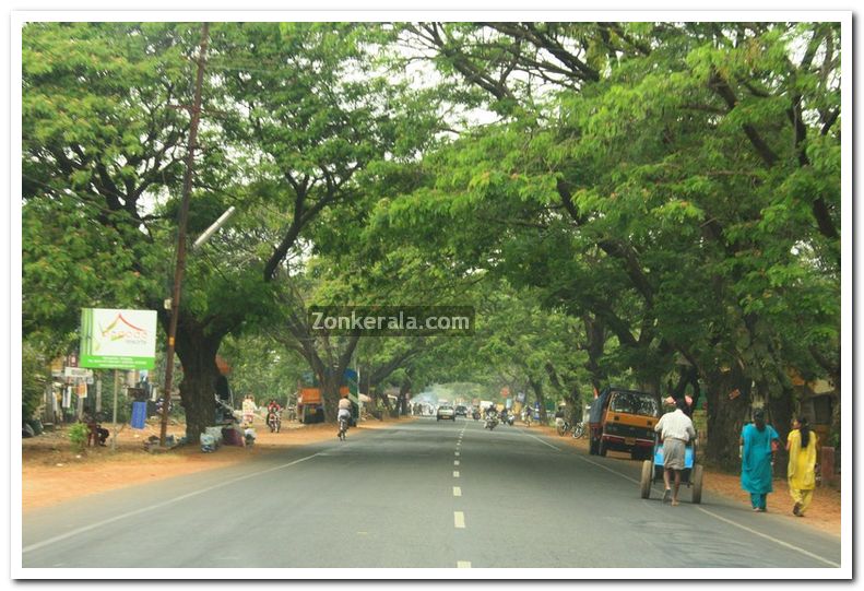 Alappuzha district nature 5