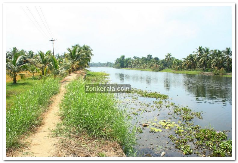 Alappuzha district nature 7