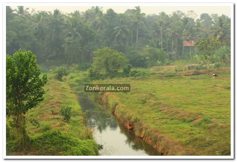 Alappuzha district nature photo 10