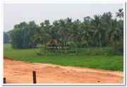 Alappuzha district nature photo 11