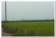 Alappuzha district nature photo 12