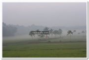 Alappuzha district nature photo 3