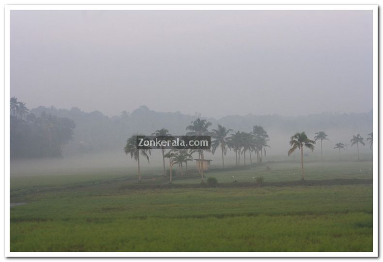 Alappuzha district nature photo 3